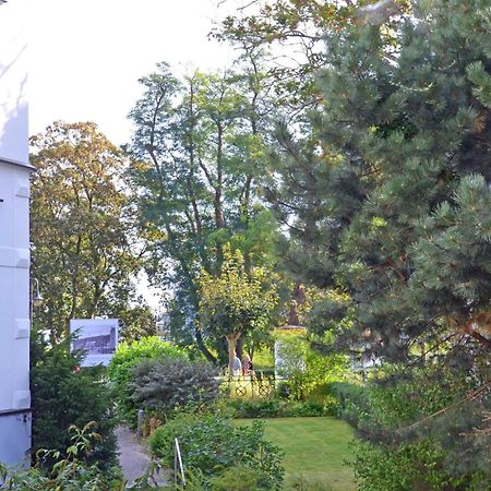 Ruhige Fewo Mit Strandkorb, Villa Stranddistel, Binz Bagian luar foto